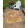 Jaheim Rust Red Nosara Indoor/Outdoor Traditional Rug
