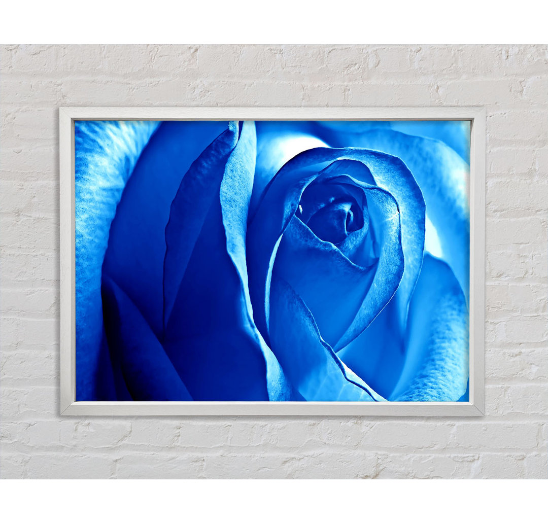 Blaue Rose - Druck