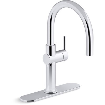 Crue Single-Handle Bar Sink Faucet, Single-Hole Prep Sink or Wet Bar Faucet -  Kohler, K-22975-CP