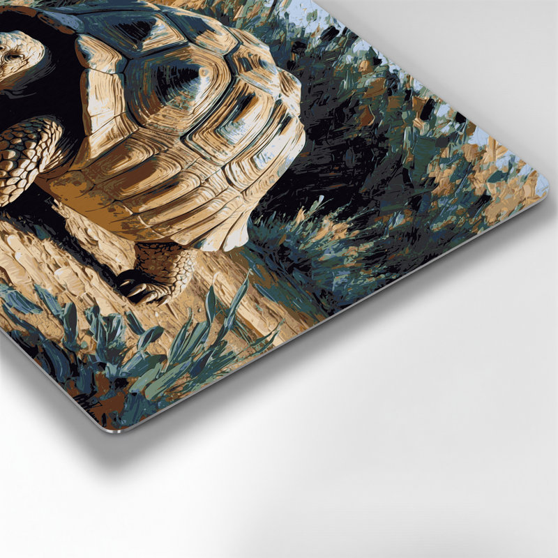 Faune, tortue d'Afrique, art mural gris, H 16 po x l 20 po