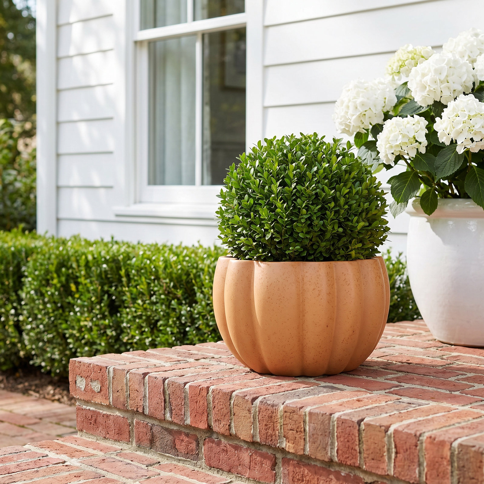 Ceramic Pot Planter - Set of 2