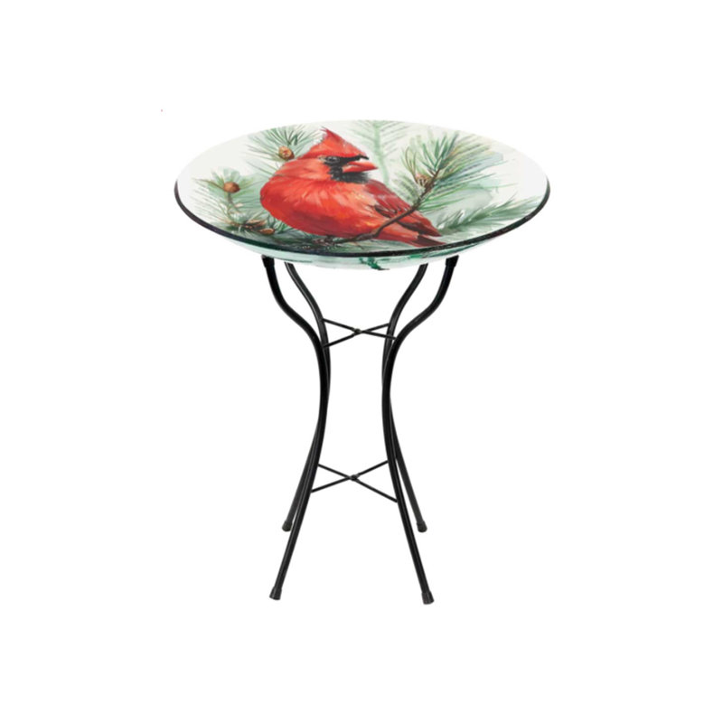 Bain d'oiseaux cardinal en verre 18 "avec support en métal" Kentucky "