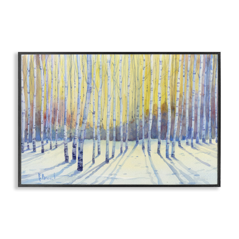 Sunlit Winter Birch Trees, giclée encadrée, design par Paul Brent, H 12 po x l 18 po, Giclée encadrée noir minuit