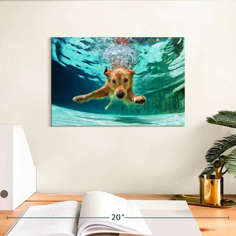 Golden Retriever Diving, 8" H x 12" W