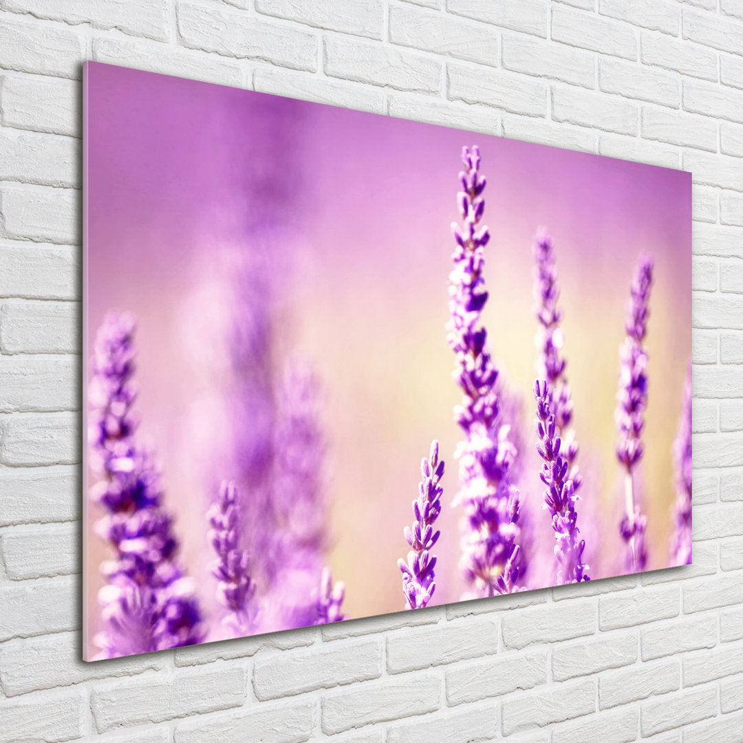 Glasbild Lavender