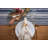 Amundson Striped 100% Cotton Table Runner-270454678-270454676