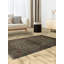 Tapis oriental traditionnel en laine Artisan 4 x 6 tons neutres élégants