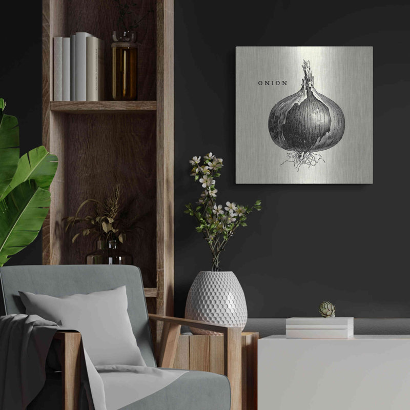 Art mural en métal «Linen Légume BW S Croquis Oignon» par Studio Mousseau, H 24 po x l 24 po