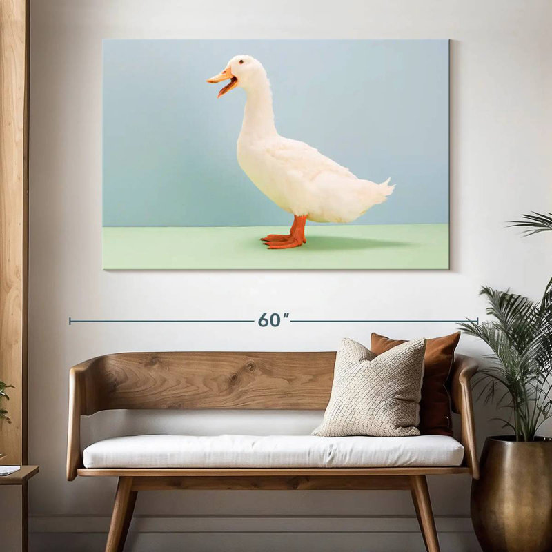 Canard blanc, H 34 po x l 51 po