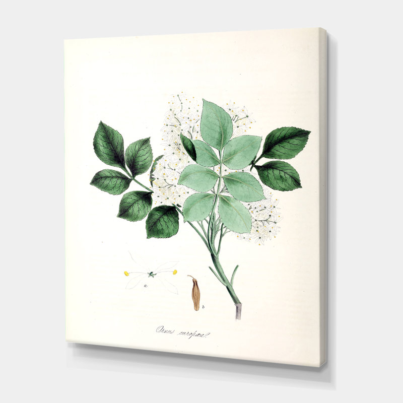 «Vintage Blossoming Flower IV», peinture sur toile, H 32 po x l 16 po x P 1 po, Toile tendue