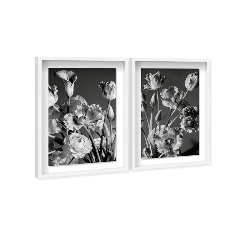 Botanique Noir Set Set by Oliver Gal, 25.5" H x 17.5" W, White Shadowbox