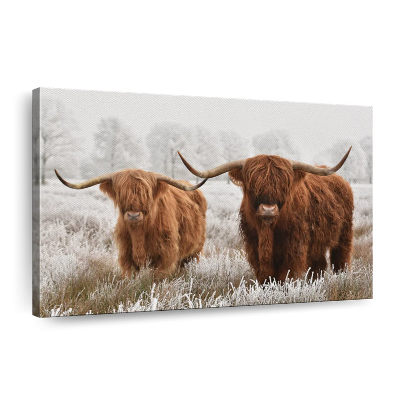 «Hairy Scottish Highland Cows», reproduction sur toile, H 26 po x l 39 po x P 1,25 po