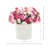 Ranunculus Arrangement
