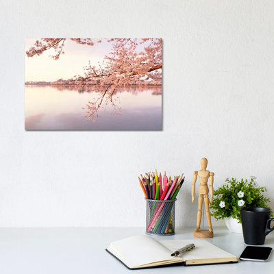 Cherry Blossoms at the Lakeside, Washington D.C., USA II 1 Piece Wrapped Canvas Wall Art