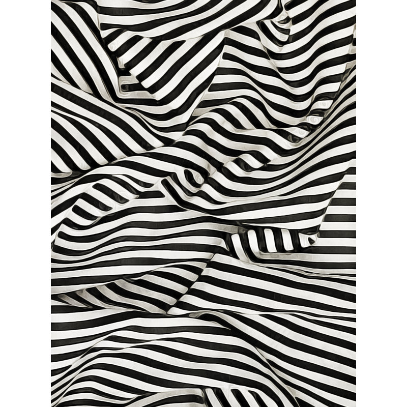 «Black White Bold and Bright II» par Ashley Aldridge - reproduction d'art sur toile tendue, H 30 po x l 20 po, Non