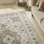 Traditional Mocha Washable/Stain Guarded Area Rug -1381453688