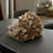 Earthy Himalayan Quartz Large