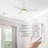 Eleanar 48'' Ceiling Fan with LED Lights
