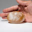Véritable quartz citron poli véritable (grand) pierre de palmier