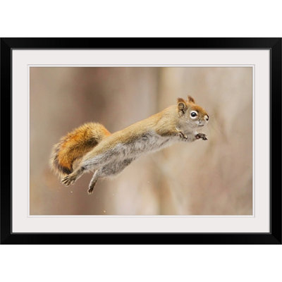 «Straub I Can Fly» par Mircea Costina - reproduction de photo