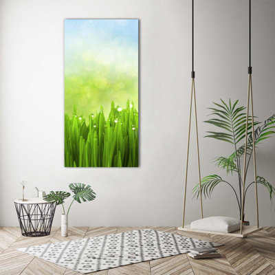 Grass - Wrapped Canvas Print