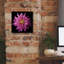  'Dahlia 5' by Debra Van Swearingen Canvas Wall Art, 12" x 12"