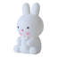 DIY Bunny Night Light Craft Painting Kit