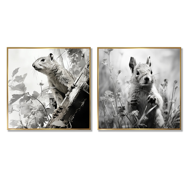 Noir, blanc, écureuil, forêt, acrobate I - ensemble d'œuvres d'art sur toile écureuil, Encadrement doré