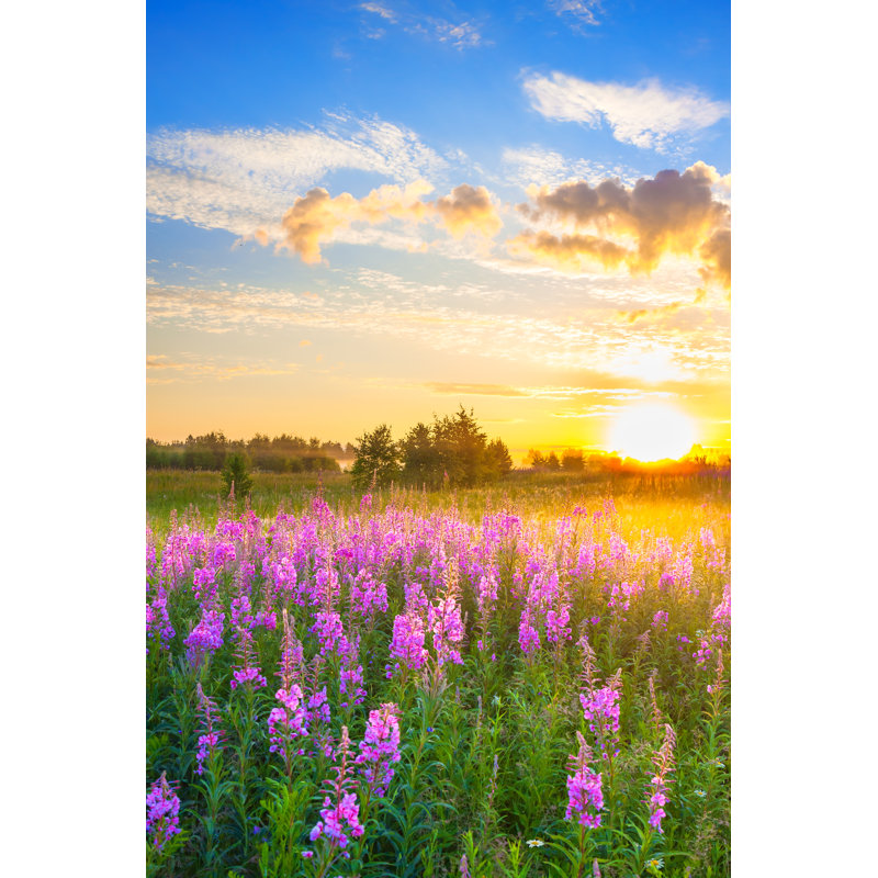 Landscape With Sunrise by Yanikap - Wrapped Canvas Print, 91cm H x 61cm W x 3.8cm D
