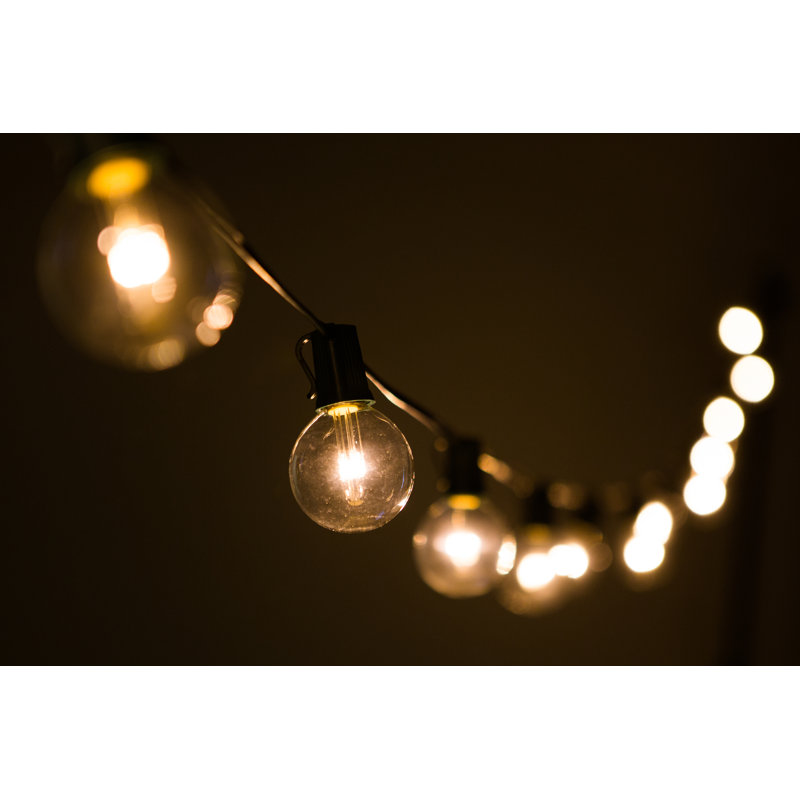 Outdoor 25 - Bulb 25'' Plug-in LED Globe String Light, Black