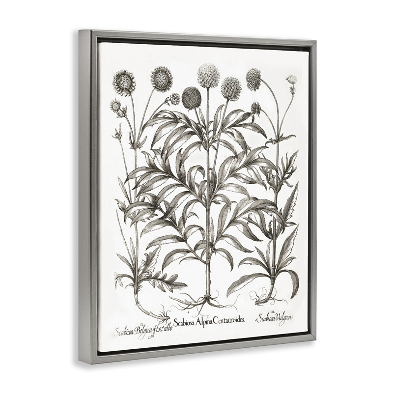Art mural sur toile flottant avec fleurs rétro, Cadre flottant gris lustré, H 31 po x l 25 po