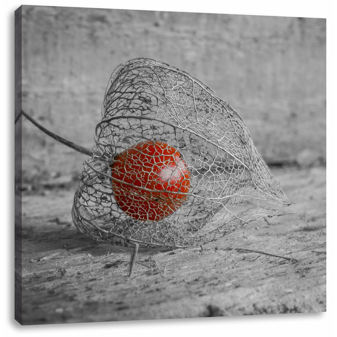 Leinwandbild Leckere Physalis in Schale