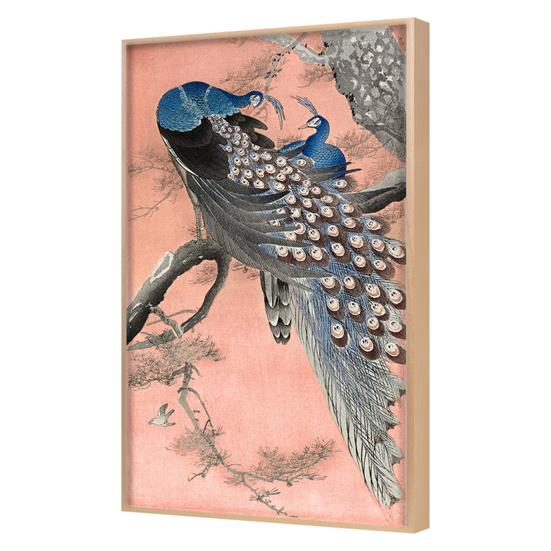 «Peacocks» par Grand archives - reproduction d'un seul cadre