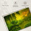 Ravi jardin dans la brume-107688815