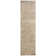 Emmie Oriental Hand Woven Area Rug