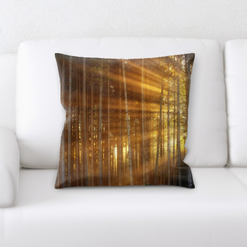 Coussin foncé