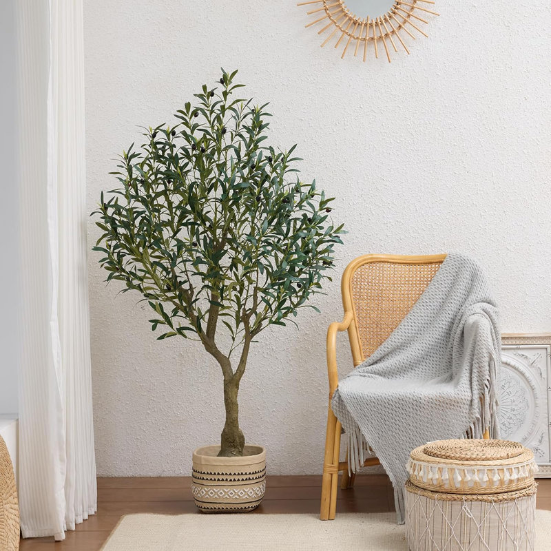 180cm Plant, 150 cm x 19 cm