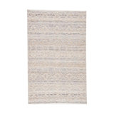 Raised Ikat Area Rug in Beige