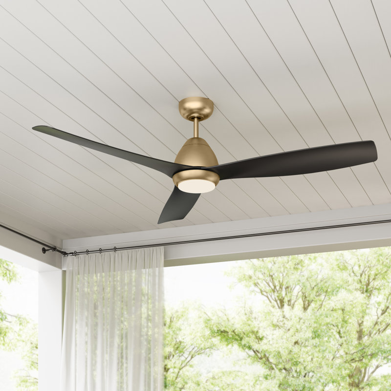 Ventilateur de plafond intérieur/extérieur de 60 po à 3 pales DEL 5CCT - Pales en laiton et noir mat avec lentille gravée