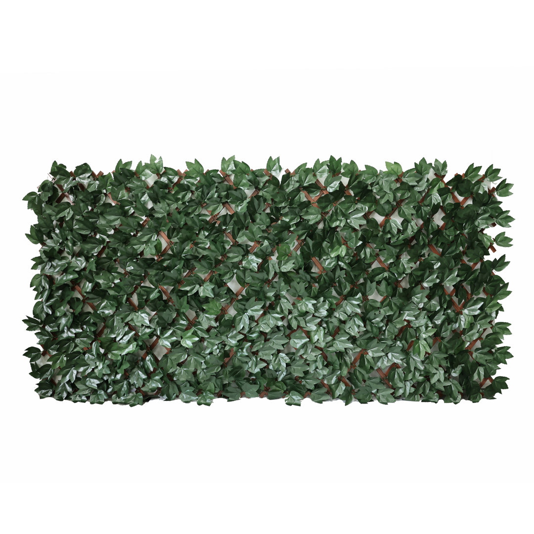 Annalicia 100Cm H x 200Cm W Plastic Expanding Trellis