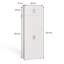 Bolaji 2 - Door 2 - Shelf Storage Cabinet