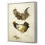Untitled Print by Patrick Atkinson-1389948107-1389948108