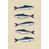 Blue/Beige selected