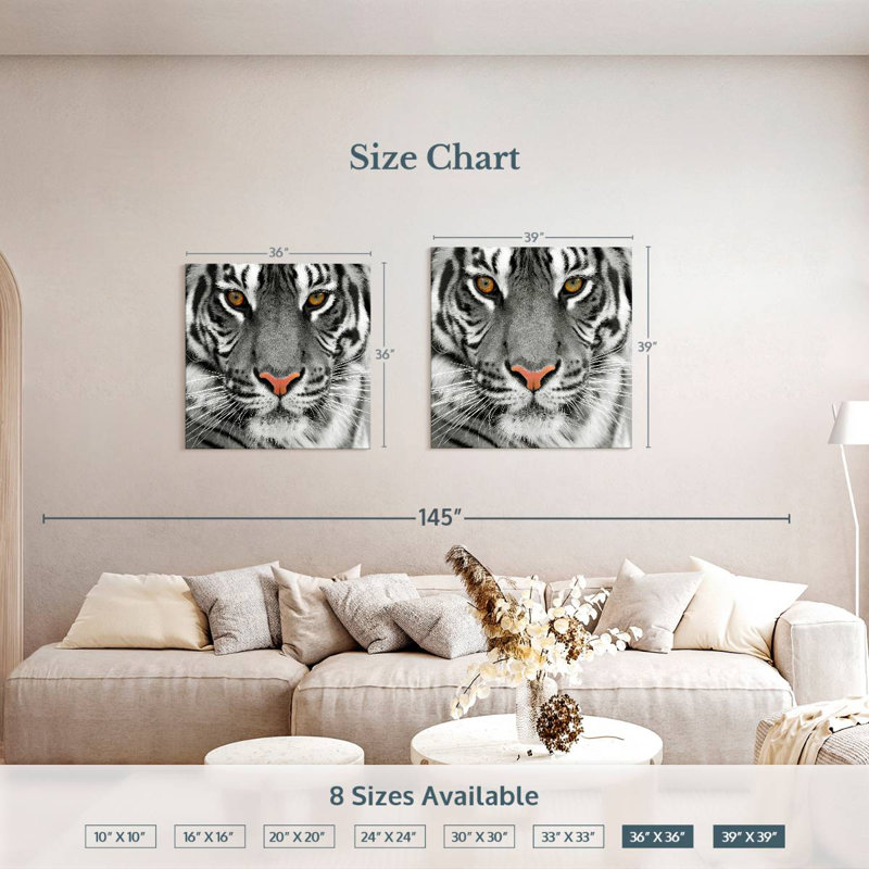 Brampt Staring Tiger, 39" H x 39" W