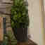 Customer photo 3 of 4