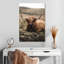 Brampt Still Highland Cow-106971076