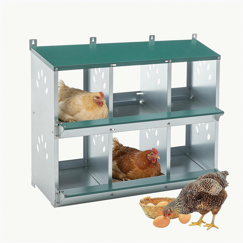 Boîte de nidification pour poulets, 6 nichoirs en métal pour poules, boîtes de nidification pour poules en acier galvanisé, facile à assembler
