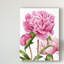 « winsome pivoines ii », peinture sur toile tendue-1907274927