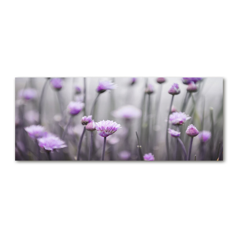 Flowers Of Chives - Wrapped Canvas Print, Canvas, 50cm H x 125cm W