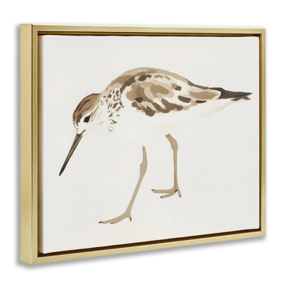 Cadre flottant Sandpiper Shore Bird